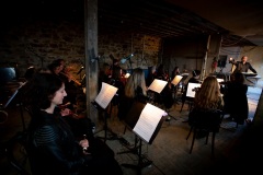 BVOF-2022-Irish-Baroque-Orchestra-Lismore-Castle-Waterford-c.-Sean-ORiordan-19