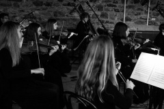 BVOF-2022-Irish-Baroque-Orchestra-Lismore-Castle-Waterford-c.-Sean-ORiordan-20