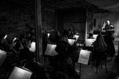 BVOF-2022-Irish-Baroque-Orchestra-Lismore-Castle-Waterford-c.-Sean-ORiordan-21