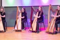 2022 BVOF Local Launch Lismore Heritage Centre +MGW Harpists c. Sean Byrne