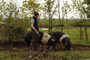 Chef Rose Greene on a farm with pigs